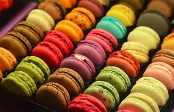 Image 4-25-25 at 10.13 AM